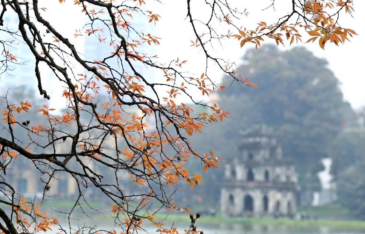 Hanoi resumes dine-in services and public transport from October 14